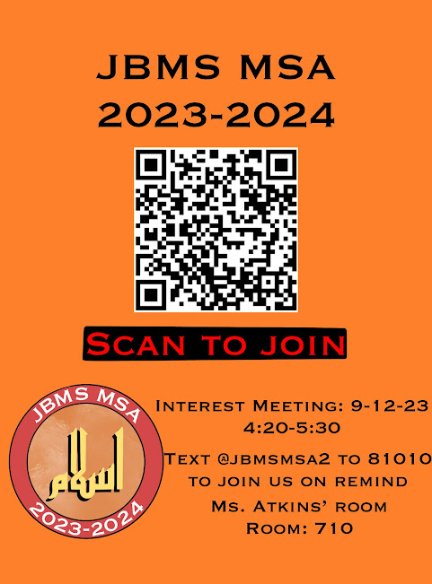 msa flyer