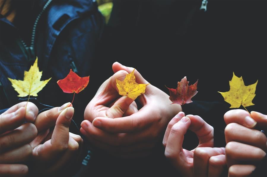 Holding leaves 