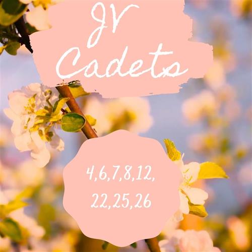 Brigade Dance Team Homepage