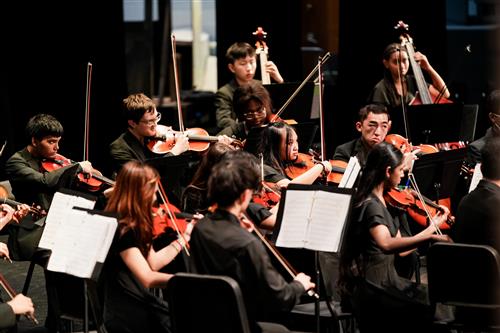 Chamber Orchestra 23-24