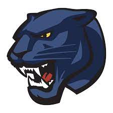  Panther