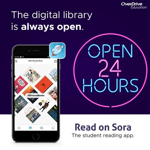 Sora Always Open