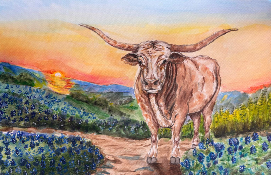 A Longhorn Sunset by Dominic Ranjith