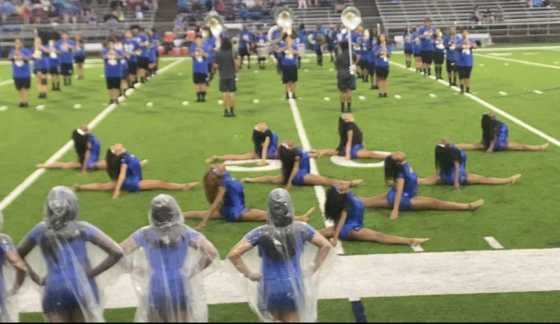 Field Jazz Feature 2022
