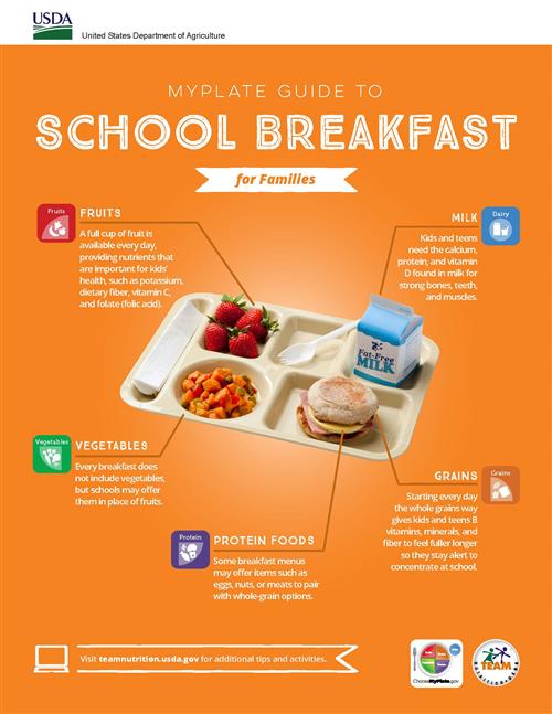 SB Infographics