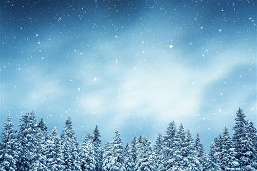 Winter Challenge