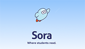 Sora