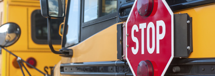 Image of school buses with stop sign displayed 