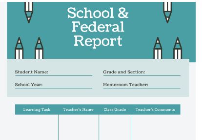  School & Federal report card picture
