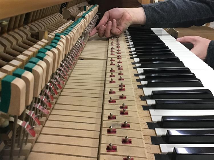 Fine Arts Piano Technician Program