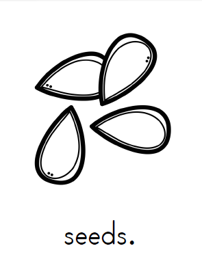 MWE Library / Classroom Material