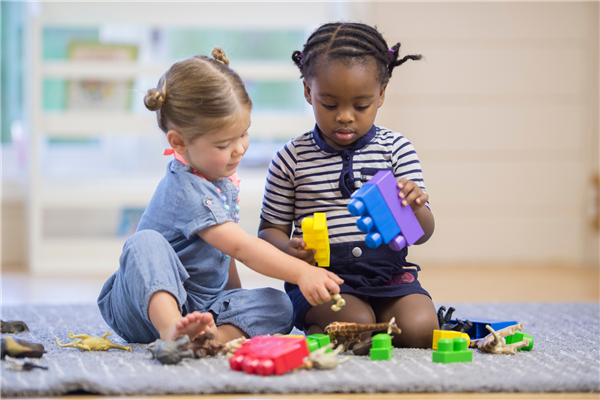 Two Toddlers Playing with Blocks